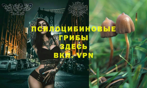 твердый Нефтегорск