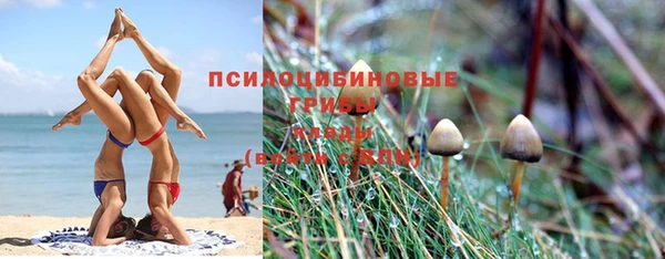 амф Алексин