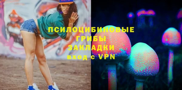ГАЛЛЮЦИНОГЕННЫЕ ГРИБЫ Алексеевка