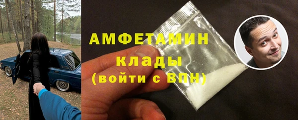прущие грибы Алзамай